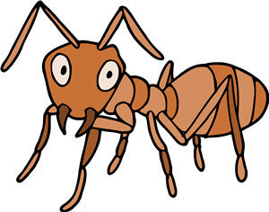 brown ant 